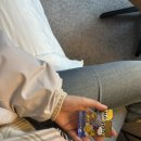 무성식당 | 🇩🇪MUN | 서늘하고 소음도 적어요 마치 무성영화를 보듯 | 뮌헨, 24h