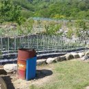 둔기마을 이미지