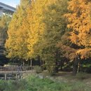 용소웰빙공원 이미지