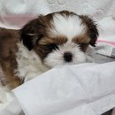 북수원카페 공인중개사사무소 이미지