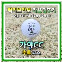 김해축협가야지점 | 김해 가야cc 수로코스 봄라운딩 아침 코스 상태