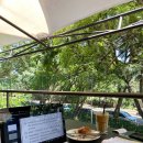 큰손흑돼지 이미지