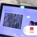 일산 헤드스파 두피가려움·두피냄새 해결｜유닛뷰티 탈모관리 후기