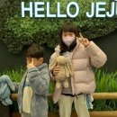 서영이네해돈가 이미지