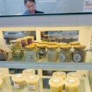 냠냠밸런스 이미지