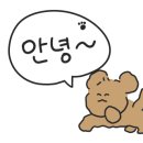 스텔라떡볶이경북 이미지