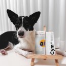 11650-1-10-702 | 집에서 간편하게 Cym702 강아지소변검사키트로 강아지건강검진 완료!