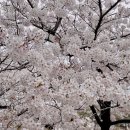 더봄공인중개사사무소 이미지