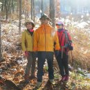 우면산5-2 이미지