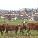 미래기획 이미지