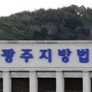 고속도로서 후진, 사망사고 낸 운전자…"다른 차는 다 피했다" 이미지