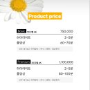 영상비디오 | 본식 DVD 생략 하려다 영상보고 계약한 비디오하우스 후기