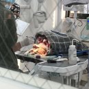 메이 동물병원 이미지