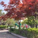 매포초등학교 이미지