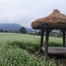 이동우체국 이미지