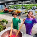 신곡 경기태권도 이미지