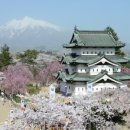 (주)드래곤관광 이미지