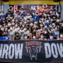 크로스핏 앤츠 이미지