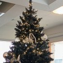 청담 | 심재 청담 소개팅 필승 카페 내돈내산 후기