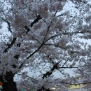 선암초등학교 이미지