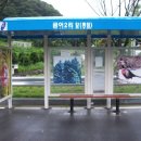 금어1리 이미지