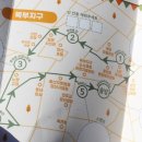 중앙로 느티나무길 이미지