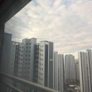 콩깍지 | 천안 창문 청소 콩깍지 클리닝 관리 대만족 후기