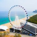 리센오션파크호텔 이미지