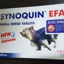 동물병원 HADA 이미지