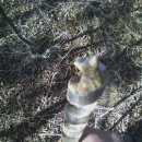 비봉톨게이트 이미지