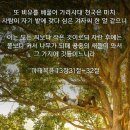 겨자씨의 믿음