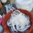 유진수산 이미지