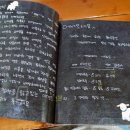 도그바라기 이미지