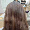 찰스헤어두 이미지