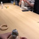 실용적인 라탄공예 소품 만들기 이미지