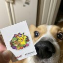 새샘태권도장 이미지