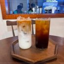 라라의디저트