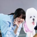 우리집상전 티스토리