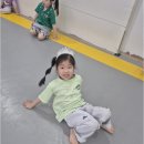 포올 태권도 운동발달 센터 네이버블로그