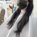 신묵초등학교 | 묵동 미용실 | 허쉬 레이어드컷 잘하는 곳 ‘오늘도,늘’