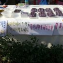 굿모닝 농장 이미지