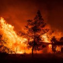 하일목장 이미지