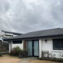 막다른 둥지 이미지