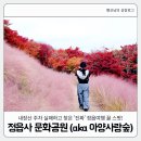 대구선아양공원2 | 갈만한 곳] 정읍사 문화공원, 내장산 단풍보다 예쁜 핑크뮬리와 단풍 (aka 아양사랑숲) (ft 어린이 놀이터)