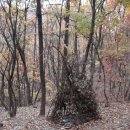 세움어린이집 놀이터 이미지