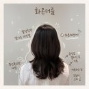 이너힐 | 여의도미용실 화온더룸 | 건조한 손상모 나노힐 클리닉 후기
