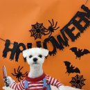 순댕이샵 이미지