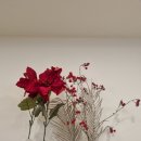 키즈풀숲 이미지