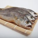 이조미가 이미지