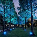 한중우호의숲 이미지